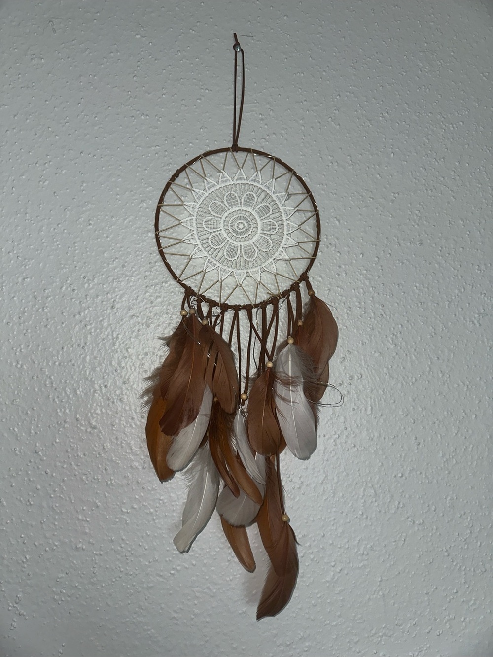 Bohemian Brown and White Dreamcatcher Wall Decor